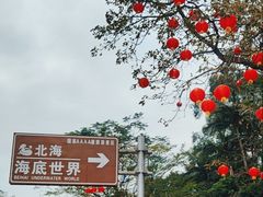 -北海海底世界