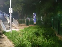 -金星公园