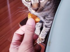 -全家便利店(襄阳南路店)