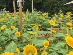 -中国天府农业博览园