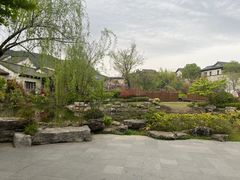 -春色如许·茶食餐厅(桃李春风店)