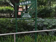 -华山儿童公园