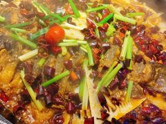 -老板恋上鱼(恒隆广场店)