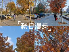 -长白岛森林公园