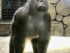 -黔灵山公园
