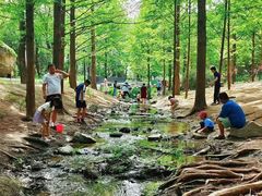 -白水寺森林公园