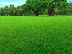 -白沙门生态公园