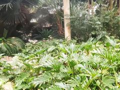 -龙达温泉生态城