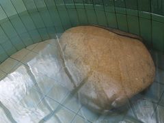 -汕头莲花山度假村温泉