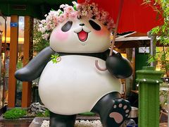 -轩客会(熊猫书店)