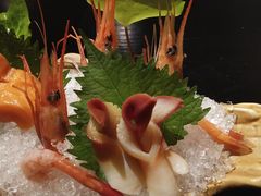 -鲤·鮨KOISUSHI
