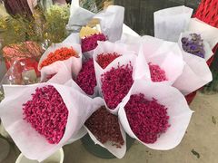 -三圣花乡旅游区