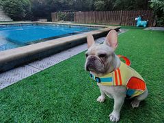 -汪说喵讲宠物乐园宠物酒店(红星美凯龙店)