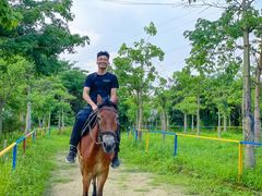 -广东花都香草世界旅游度假区