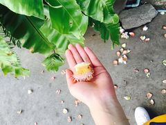-周日夜市
