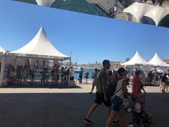 -马赛老港