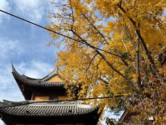 -龙华寺
