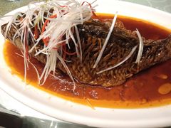 罾蹦鲤鱼-津菜宋记老房子(平山道店)