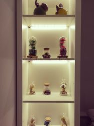 -scarlet斯卡莱美容护理机构