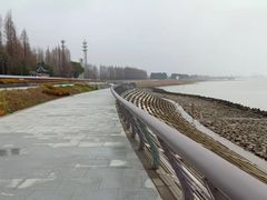 -瀛洲公园
