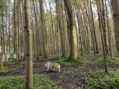 -桤木河湿地公园