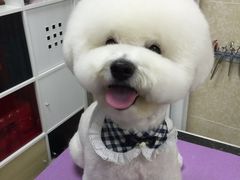 -乐琪宠物(青塔西路店)