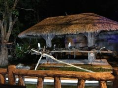 -清迈夜间动物园