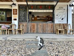-原乡芦茨咖啡