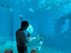 -涛·海底餐厅·美人鱼·自助餐·海底隧道(三亚海棠湾洲际度假酒店)