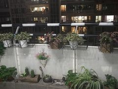 -简·无界健身工作室·运动康复·体态(石厦店)