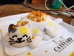 -猫小院猫主题餐厅(南锣旗舰店)