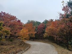 -国家植物园南园