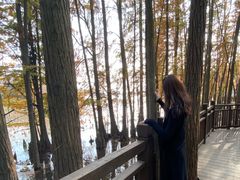 -东湖落雁景区