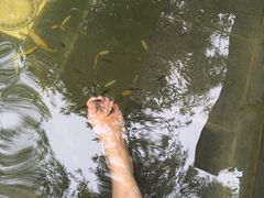 -西安国际创新人才交流中心•药浴温泉