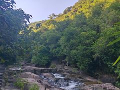 -广州白江湖森林公园