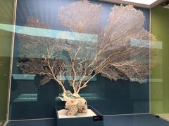 -中国湿地博物馆