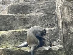 -南昌动物园