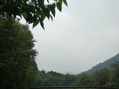 -八卦田遗址公园