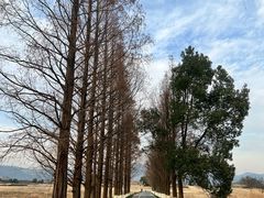 -良渚古城遗址公园