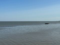 -天津东疆湾沙滩景区