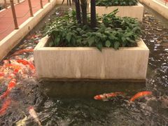 -太子园林酒家