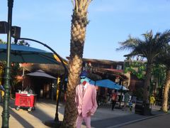 -三亚海昌梦幻海洋不夜城