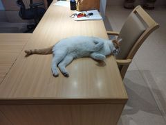 -首开寸草亚运村养老院