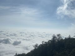 -峨眉山风景名胜区