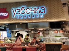 -谢列梅捷沃国际机场