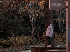 -上海滨江森林公园