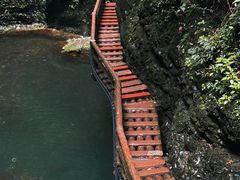 -青城山