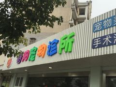 -暖阳宠物医院·犬猫康复中心·骨科