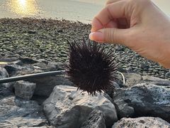 -龙头岩(Dragon Head Rock)