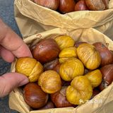 南京超好吃的板栗｜来自秋天的仪式感